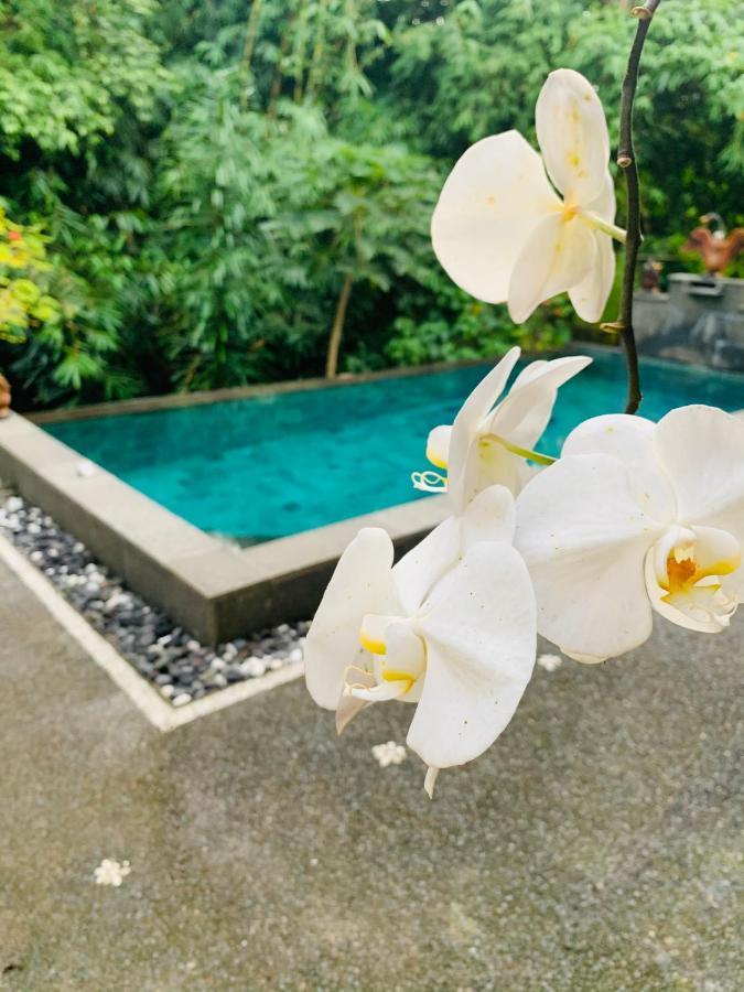 Gek House อูบุด ภายนอก รูปภาพ
