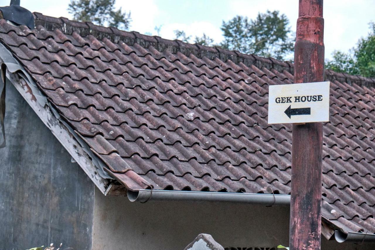 Gek House อูบุด ภายนอก รูปภาพ