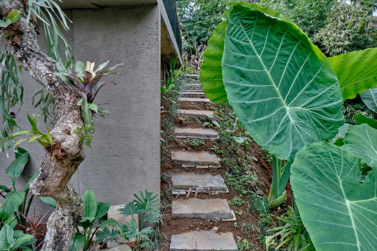Gek House อูบุด ภายนอก รูปภาพ